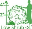  4'H or Less Small Shrubs