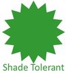 Shade Tolerant Plants