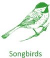 Songbird Plants