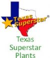 Texas Superstar® Plants