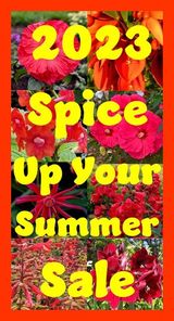 2023 Spice Up Your Summer Sale